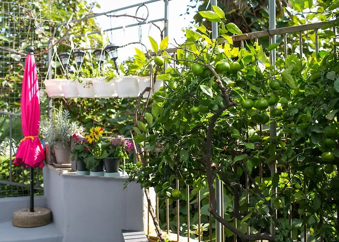 Apartament Stylish Pepa With Free Parking -